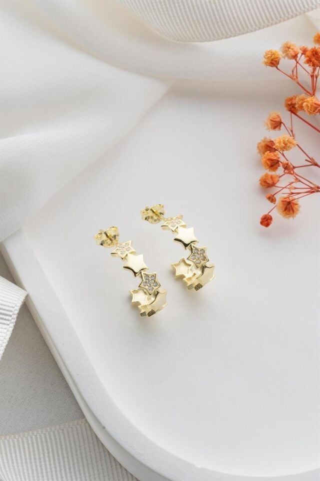 925 Ayar Gold Yıldızlı Halka Gümüş Küpe